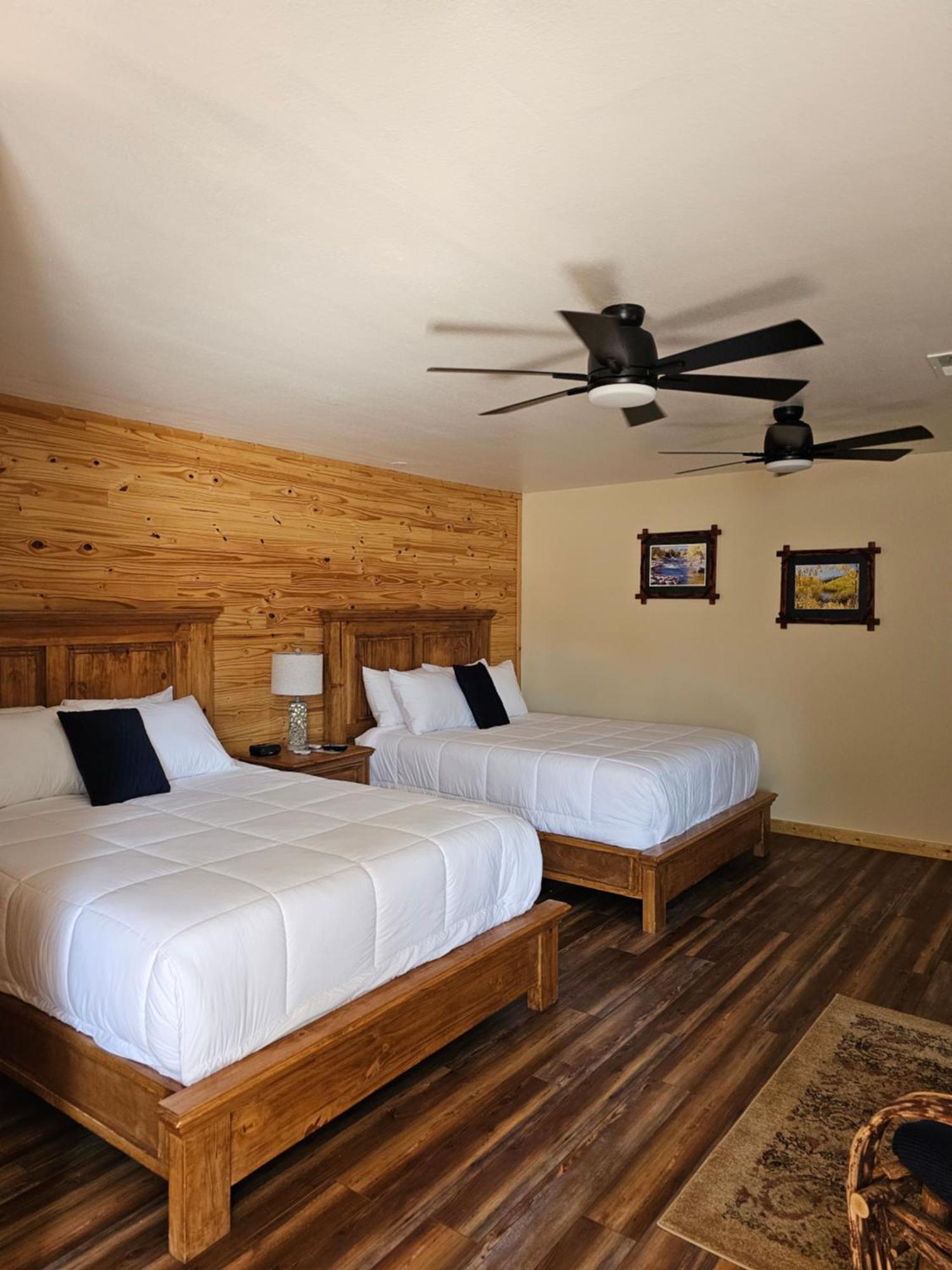 Hotel Snowy Peaks Rv Park à Buena Vista Extérieur photo